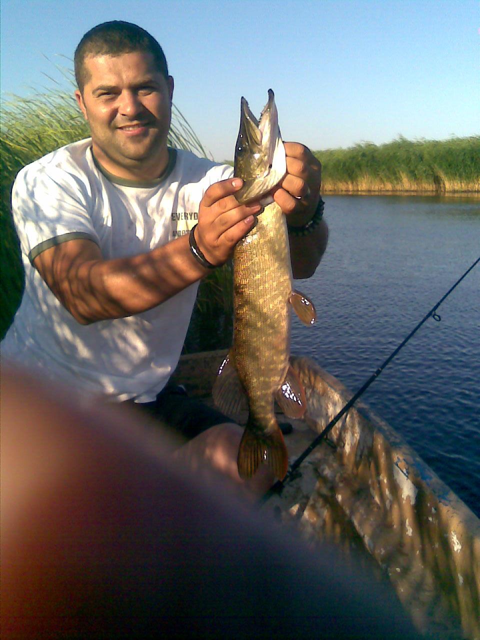 peste - picture-008.jpg